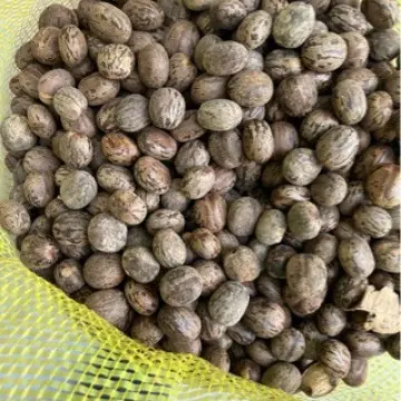 Rubber Fruit Seeds, Bird Egg Fruit and Bodhi Flower Cardamom for Handmade Wind Chimes