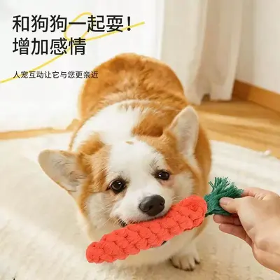 Carrot Dog Chew Rope Toy, Teeth Cleaning, for Large Breeds and Puppies - 3