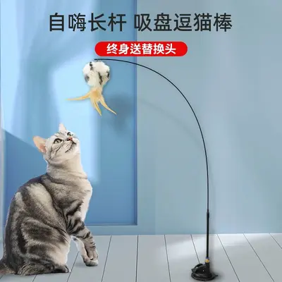 Cat Teaser Wand Toy with Feathers, Suction Cup and Bell, Bite-Resistant - 4
