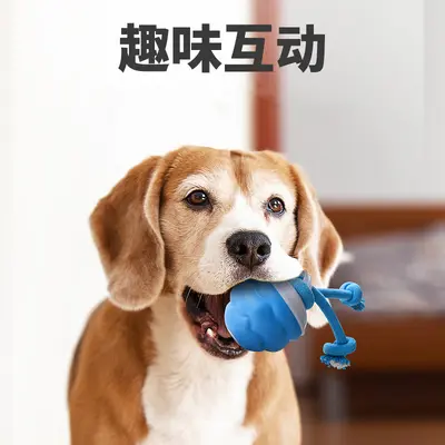 Quietsch-Hundespielball, bissfest - 3