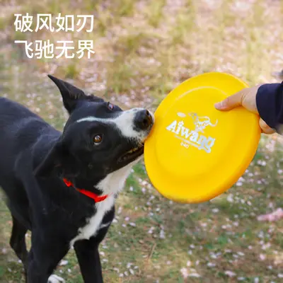 Aiwang yarış sınıfı köpek frizbisi, PE aşınmaya ve ısırmaya dayanıklı - 5
