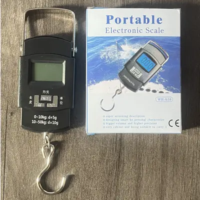 Taşınabilir dijital terazi yüksek hassasiyetli ev tipi portatif küçük mini tartı cihazı 50kg kancalı terazi geri çekilebilir sınır ötesi - 8