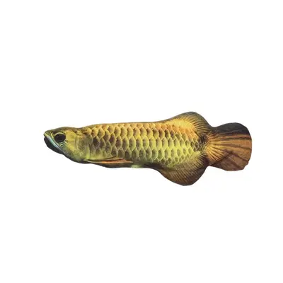 Simulated fish cat toy plush - 9