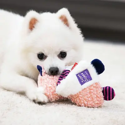 GiGwi Köpek Oyuncağı, Sesli Kağıt Aslan Tilki Rakun Peluş Çiğneme Oyuncağı - 4