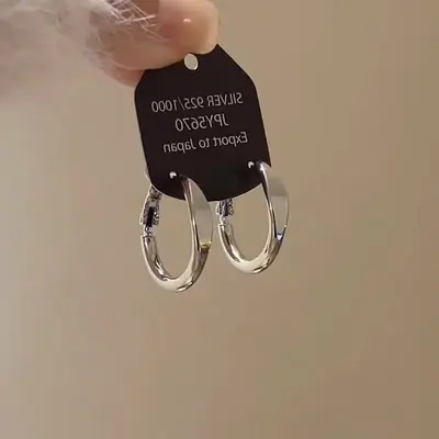 S925 Silver Hoop Earrings for Women - 9