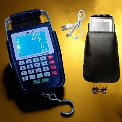 Rechargeable portable scale with voice automatic pricing high precision - 8
