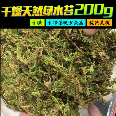 Natürliche Reptilienmatte mit Süßwassermoos zur Befeuchtung, 200g