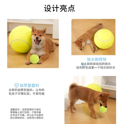 Büyük Irk Köpek Oyuncak Topu, 24 cm Tenis Topu - 4