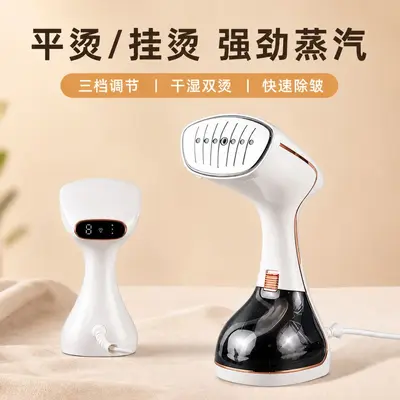 Mini portable handheld steam iron