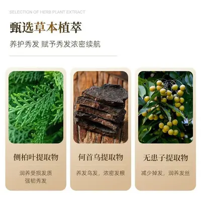 Platycladus Leaf and Ginger Shampoo, Oil Control and Anti-Dandruff - 4