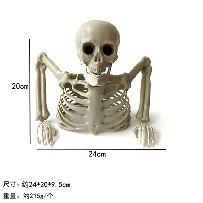 Half-Body Halloween Skeleton Decoration for Party and Escape Room - 8