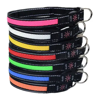USB Rechargeable LED Light-Up Nylon Dog Collar for Medium and Large Dogs - 6