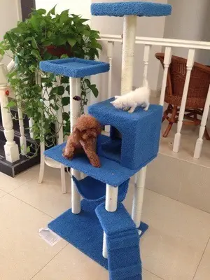 Fabrika doğrudan satış toptan ısmarlama evcil hayvan malzemeleri kedi oyuncakları kedi tırmanma çerçevesi kedi tırmalama tahtası kedi ağacı 23 gri - 5