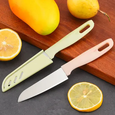 Edelstahl-Obstmesserset, 2-teilig mit Schäler