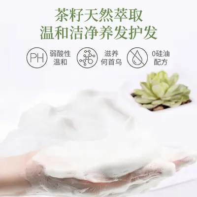 Шампунь с маслом семян камелии Black Silk Miao для контроля жирности, с семенами чайного растения против перхоти и для снятия зуда, очищающий шампунь с Polygonum multiflorum, паста для мытья волос оптом - 2