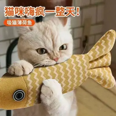 Durable Cat Toy Set with Catnip and Realistic Fish - 3
