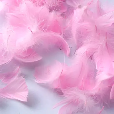 Colored Small Goose Feathers as Gift Box Filling Material - 10