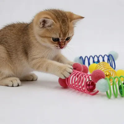 Plush Mouse Cat Toy with Bell and Spring, Self-Play Teaser - 3