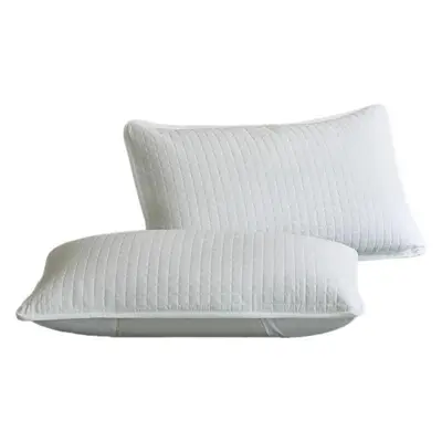 Anti-Mite Pillow Protector, Pair Pack, Protection Against Drool and Hair Oil - 6