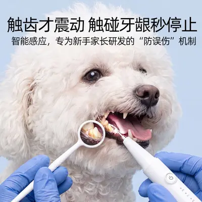 LED ultrasonic dog teeth cleaner for senior and small dogs - 2