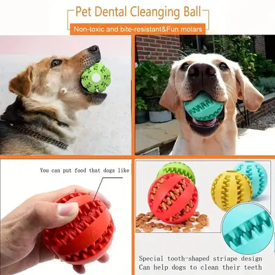 Elastic Dental Treat Ball for Dogs Bite-Resistant Teeth Cleaning - 5