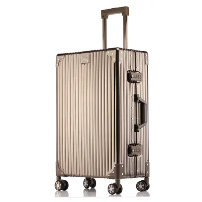 All-Aluminum Magnesium Alloy Trolley Case, Spinner Wheels, 20 and 28 Inch - 12