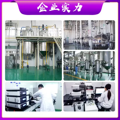 Concentrated Whey Protein Powder, Isolate Also Available, Food Raw Material - 3