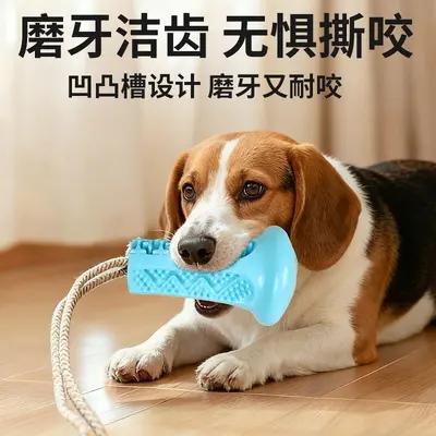 狗狗玩具吸盘耐咬磨牙边牧消耗体力跨境解闷自嗨小狗玩具宠物用品