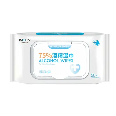 Mint Cooling Portable Wet Wipes for Summer - 10