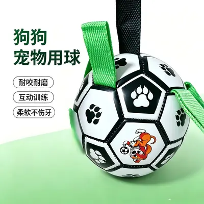 Rubber Chew Ball Dog Toy for Small and Medium Dogs and Puppies