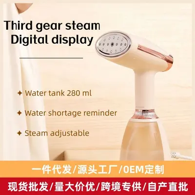 Handheld steam iron with brush head, wet and dry