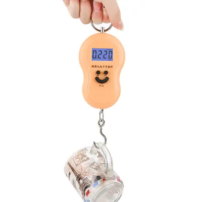Mini electronic hanging scale 50kg portable luggage weighing