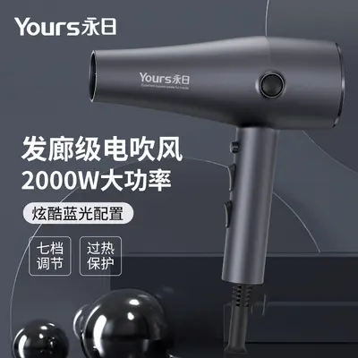Blue Light High-Power Hair Dryer, Multi-Level Settings, Overheat Protection