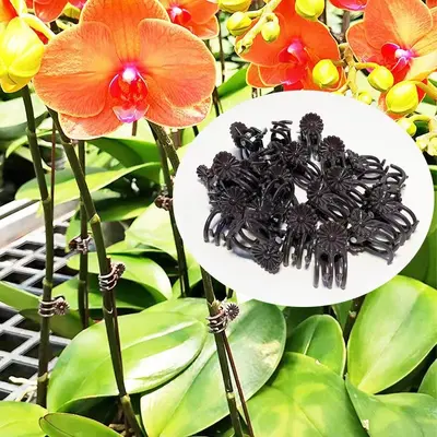 Orchid Support Clip, for Plant Stakes and Climbing Plants