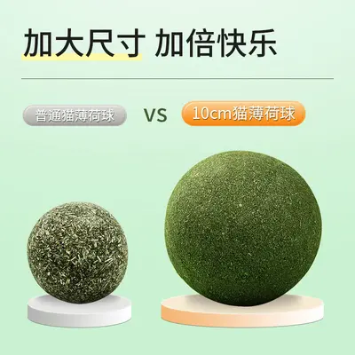 Oversized Catnip Ball, Teeth-Cleaning Cat Grass Ball - 3