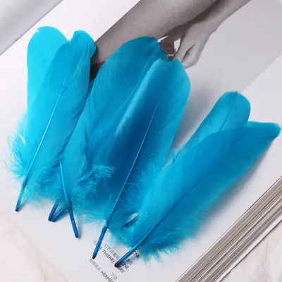 White Goose Feathers, Kindergarten Craft and DIY Jewelry Material