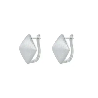 S925 silver diamond brushed earrings - 5