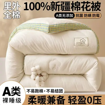 100% Cotton Thickened Winter Quilt, Xinjiang Cotton, Suitable for All Seasons - 7