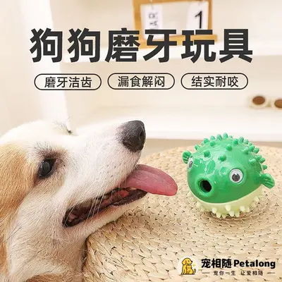 Dog Squeaky Bouncing Fish Toy, Teeth Cleaning, Chew-Resistant Treat Ball - 5