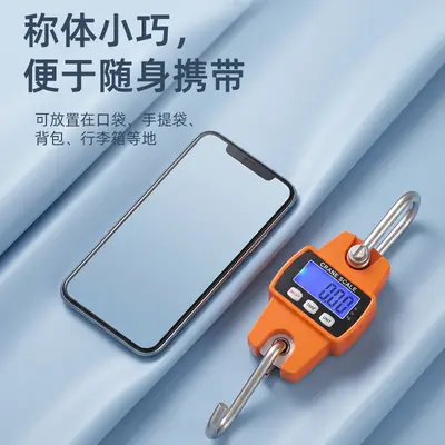 Electronic hanging scale, 300kg, portable compact