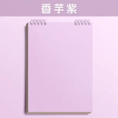 B5 Ring Binder Loose-Leaf Notebook, Removable Spiral Notepad - 7