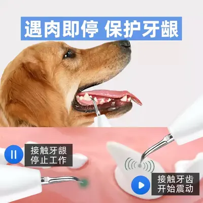 狗狗牙结石去除器宠物超声波洗牙机猫咪牙齿清洁工具小洁牙仪