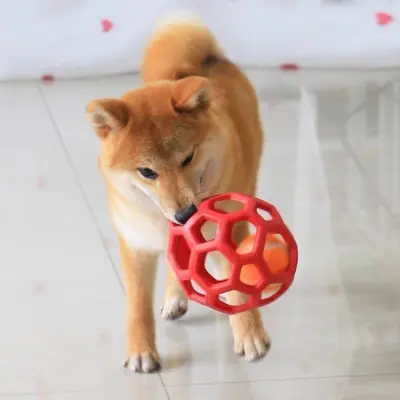 狗狗自嗨磨牙玩具球耐咬狗镂空小型飞盘犬小狗狗耐咬全套狗玩具