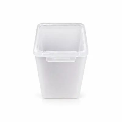 Perler Bead Storage Box, 11 g, Frosted Transparent Plastic