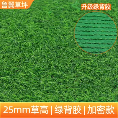 Kunstrasen für den Außenbereich, Kunststoff-Grasmatte - 12