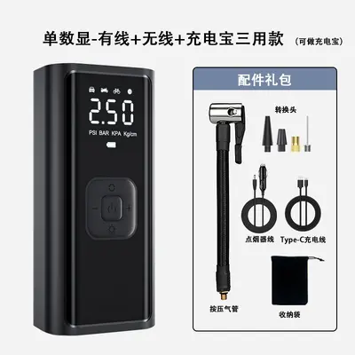 Dai Sheng air pump car air pump car air pump mini portable car tire inflator - 10