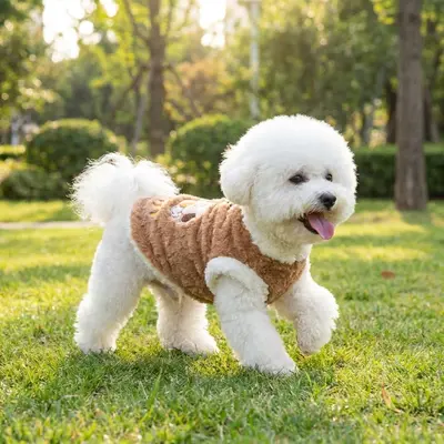 新款秋冬两脚无袖绒衣背心卡通狗狗衣服中小型犬户外牵引宠物衣服