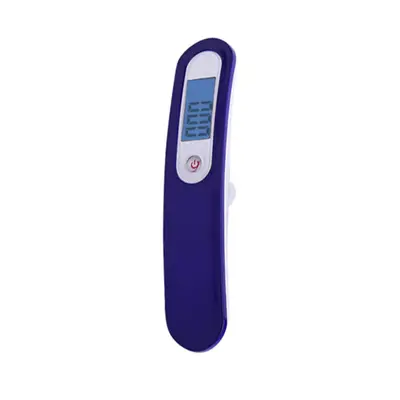 Portable Stainless Steel Luggage Scale, Digital Mini Scale - 9