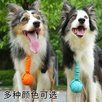 Köpek İçin Dayanıklı Halatlı Top, Esnek Çiğneme ve Eğitim Oyuncağı - 4