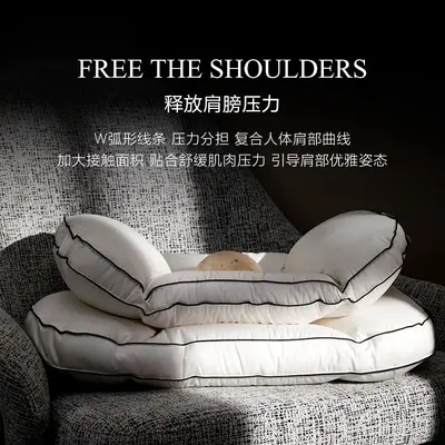 Queen Size Goose Down Pillow Insert, 48x74 cm, Low Profile